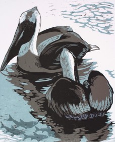 /userimg/JPZwo/Two Pelicans.jpg